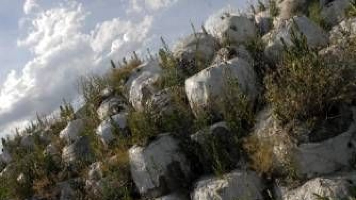 Gran parte de las balas de basura que se acumulan en Trobajo del Cerecedo están en muy mal estado