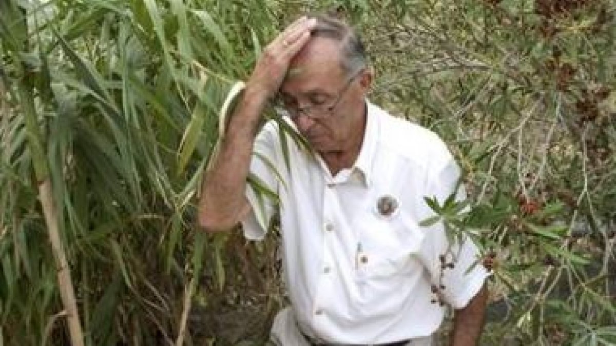 José Antonio Casanueva, abuelo de Marta del Castillo.