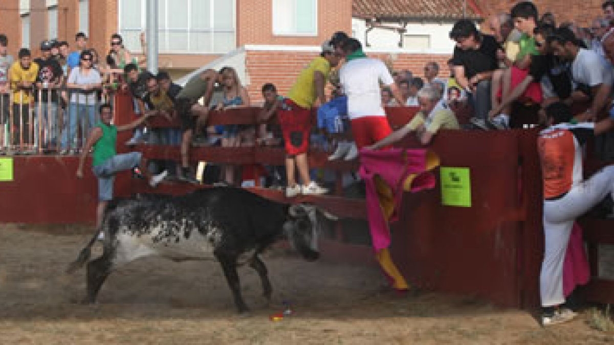 Las vaquillas son uno de los atractivos de la fiestas de Trobajo del Cerecedo.