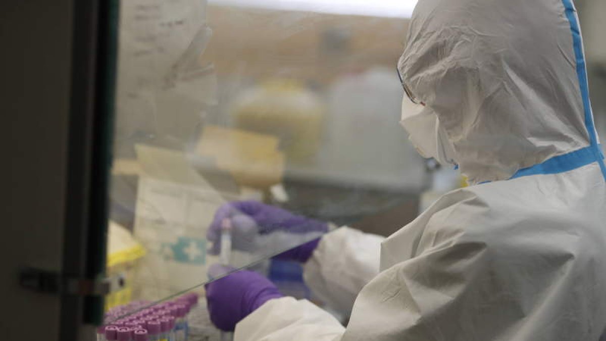 Un técnico analiza una PCR en el Laboratorio Pecuario. RAMIRO