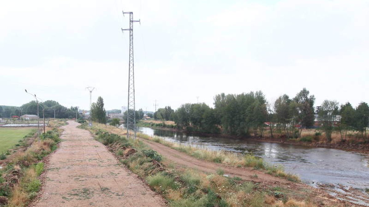 Los senderos flanquearán el Tuerto a su paso por Requejo y La Bañeza.