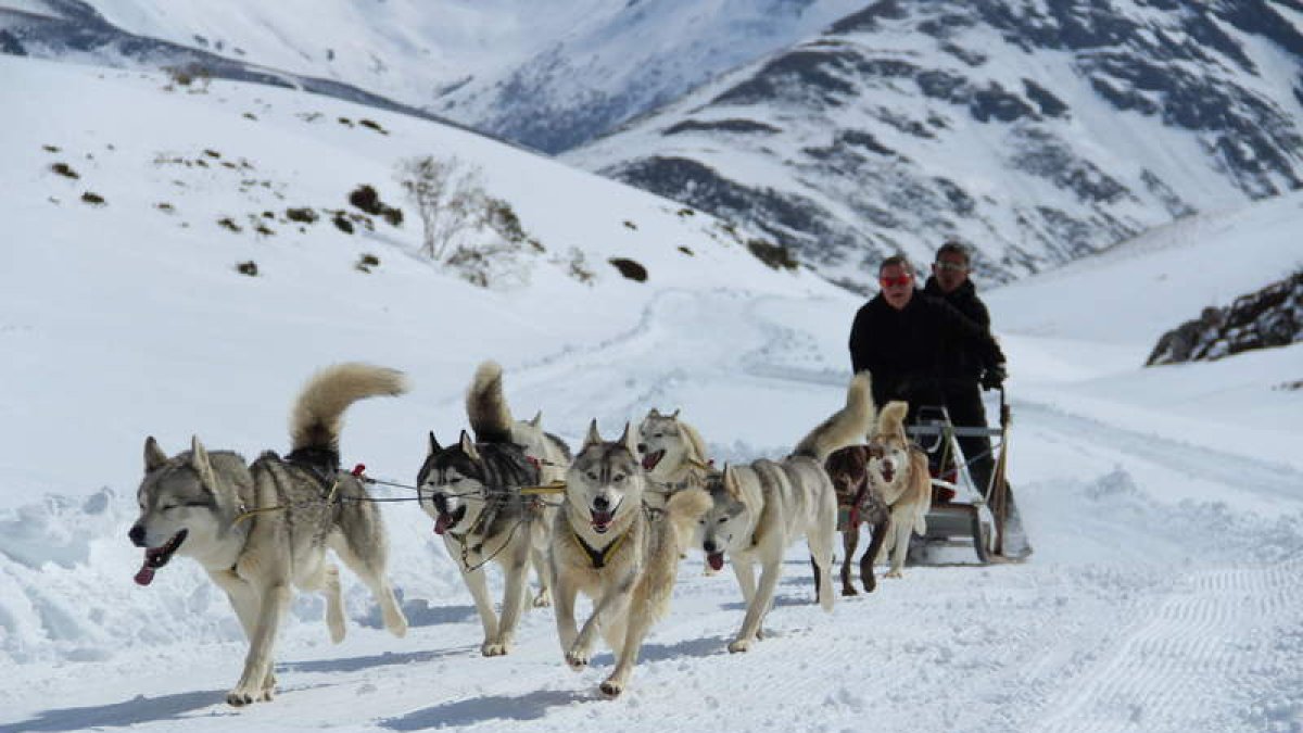 El mushing es un deporte de reciente creación de origen nórdico que tiene en la nieve a su elemento principal aunque también se puede practicar perfectamente sobre tierra durante los meses en que no hay nieve. León tiene abundancia de ambas. DL