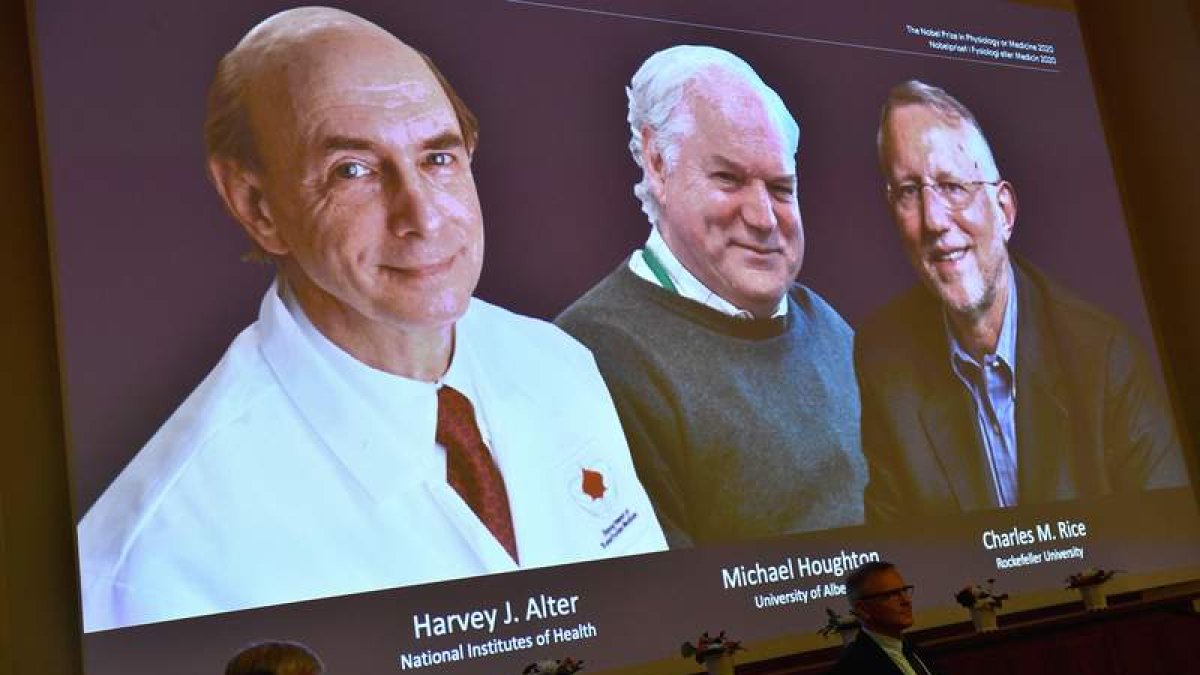 Momento en que el jurado del Nobel de Medicina comunica el galardón a los tres científicos. CLAUDIO BRESCIANI