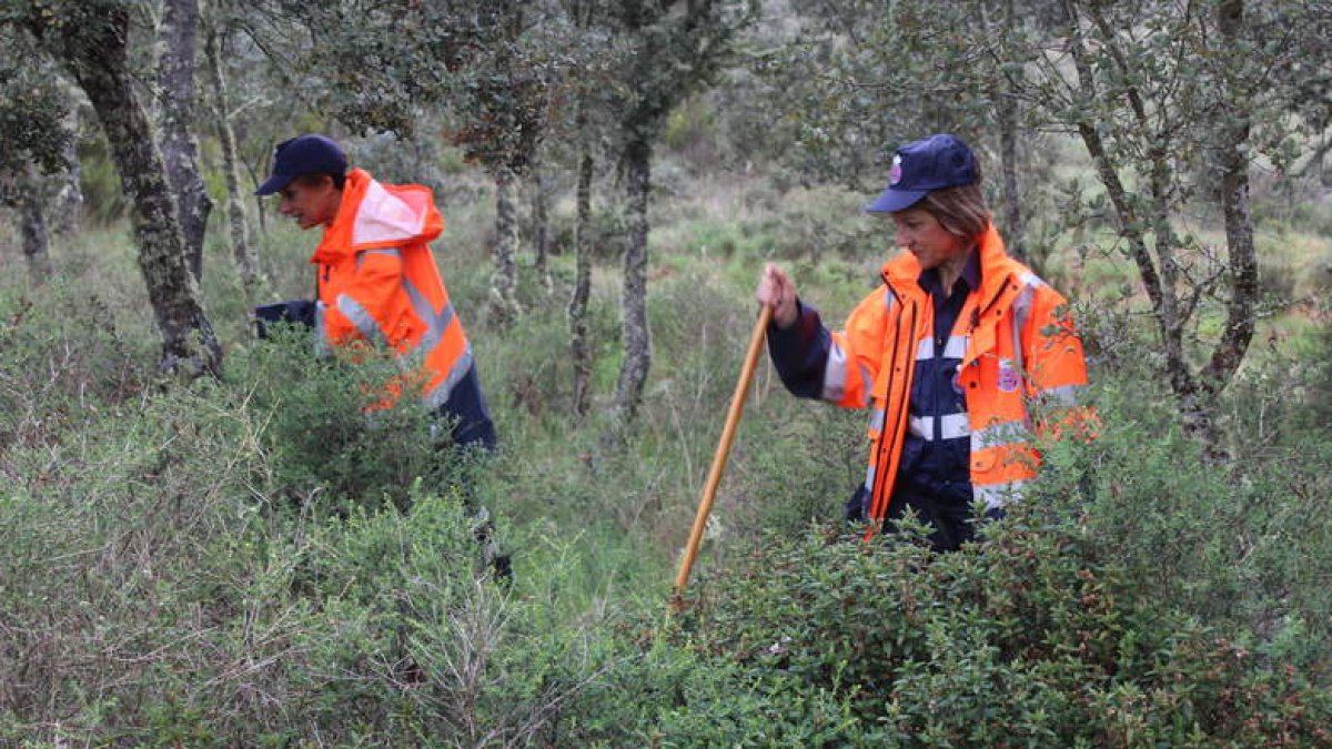 Protección Civil, la Policía Nacional y los Amigos del Camino continuaron ayer con la búsqueda