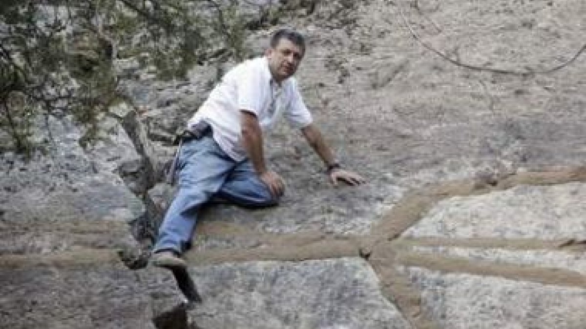 Juan Carlos Gutiérrez, paleontólogo del CSIC, muestra la piedra donde han localizado los restos.