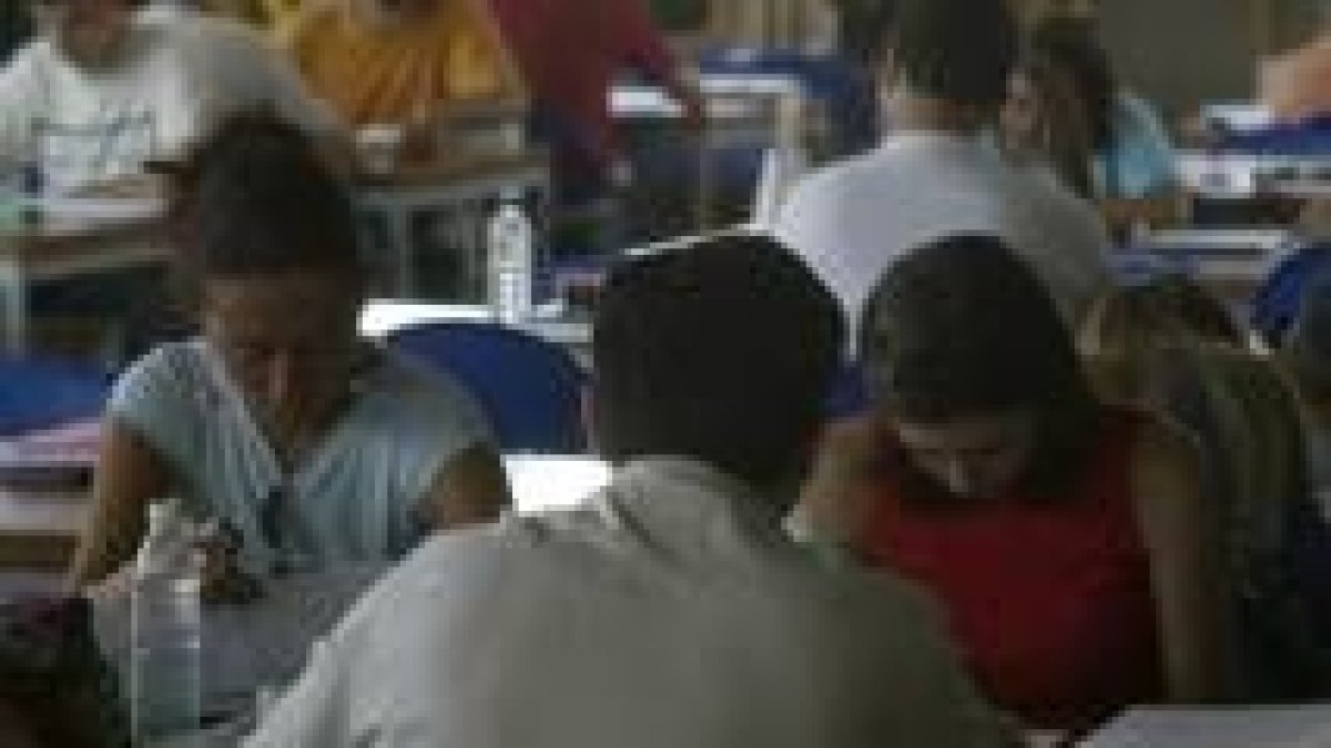 Los estudiantes podrían beneficiarse de la subdivisión de los estudios universitarios en cinco ramas