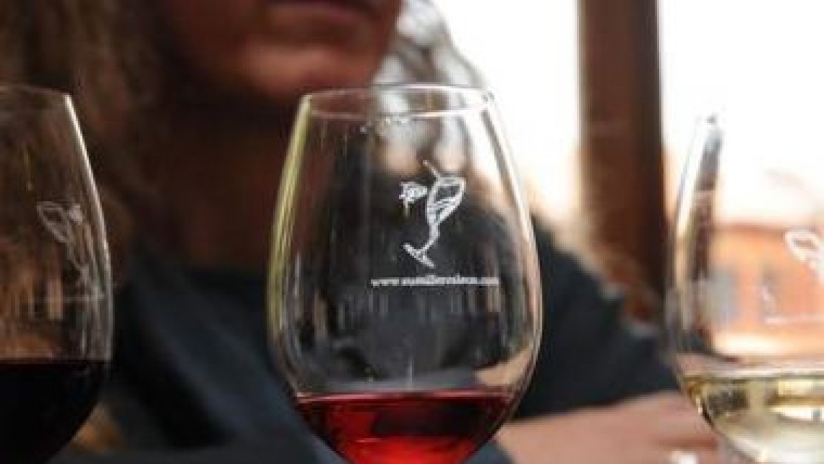 Tres copas de las utilizadas para la cata reposan con los restos de otros tantos caldos de la provin