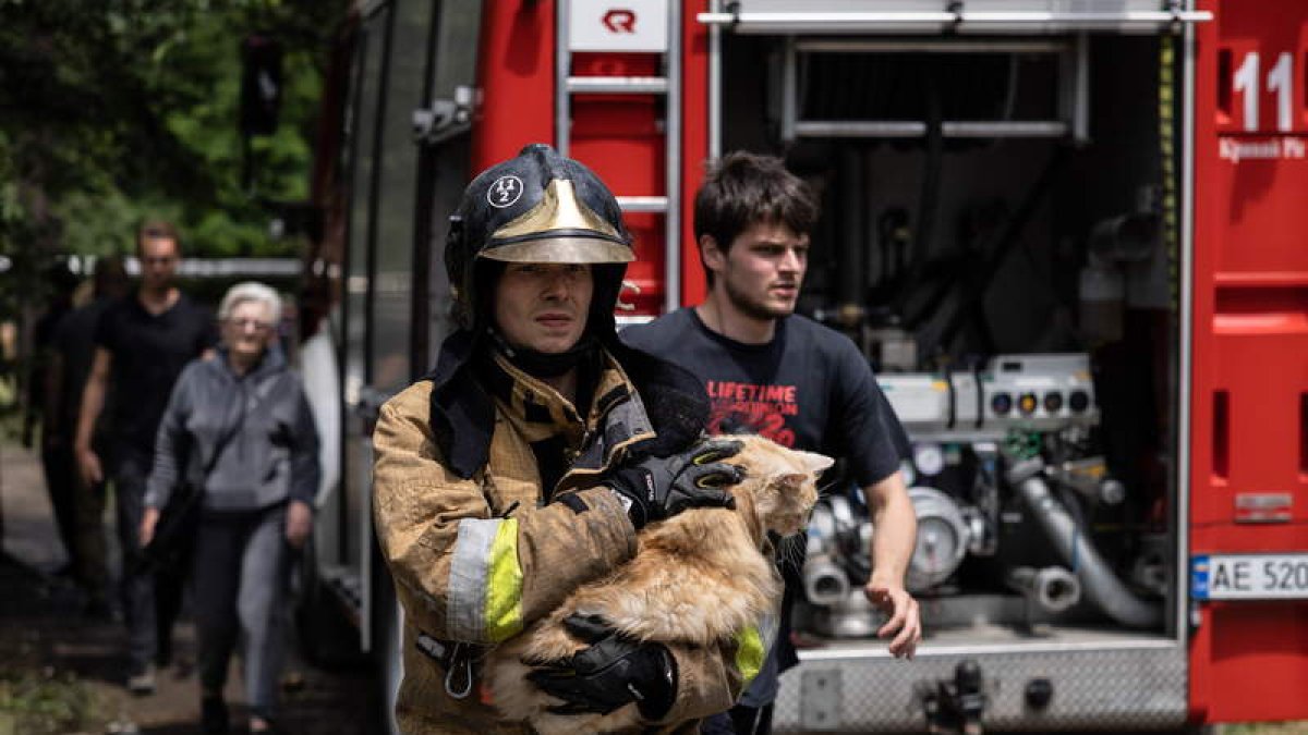 Un bombero rescata a un gato en Kryviy Rih. STAS KOZLIUK