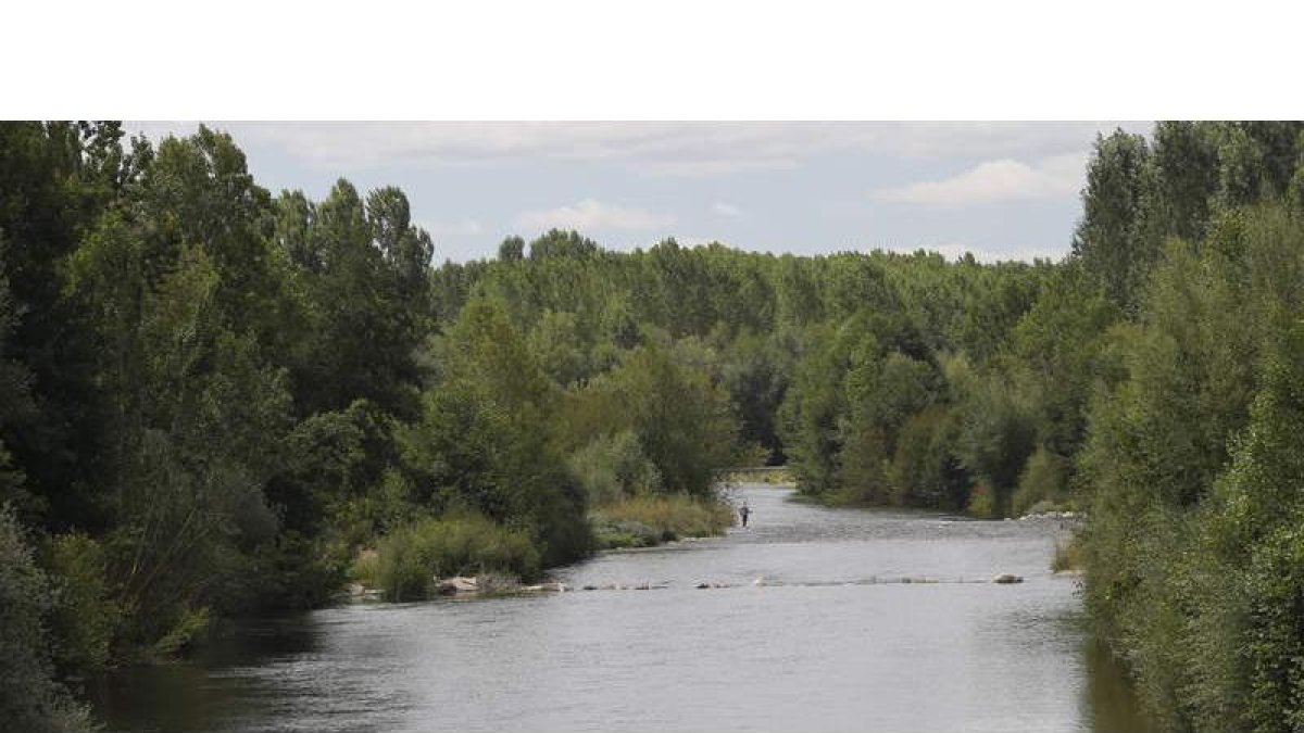 La muestra, que comienza esta tarde a las 18.00 horas, contará con medio centenar de puestos. Se sitúa un año más en el parque de La Bolenga —junto al río— y tiene previstas numerosas actividades complementarias. La organización espera la visi