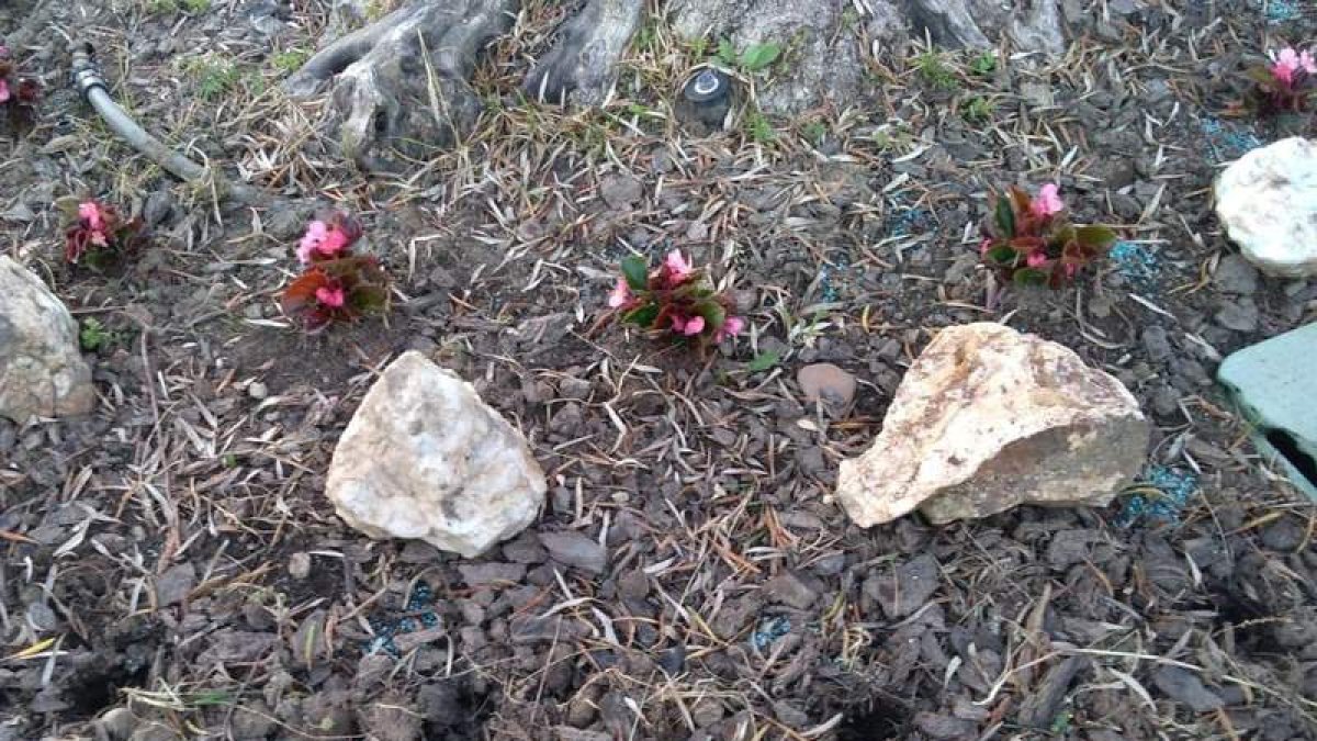 ayto. cacabelos