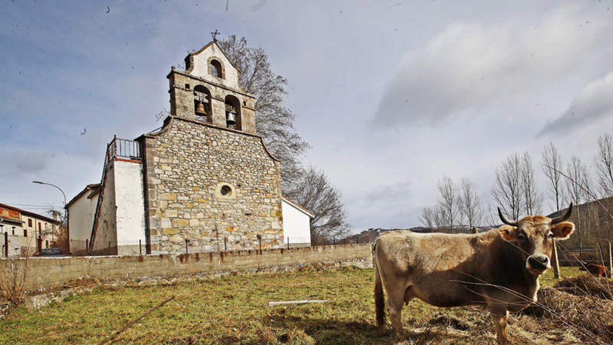 RAMIRO (3)