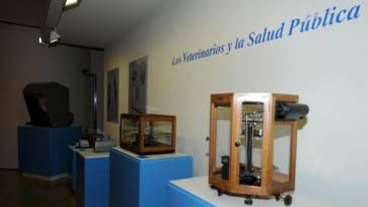 La exposición sobre Veterinaria y Sociedad Leonesa está ubicada en Botines