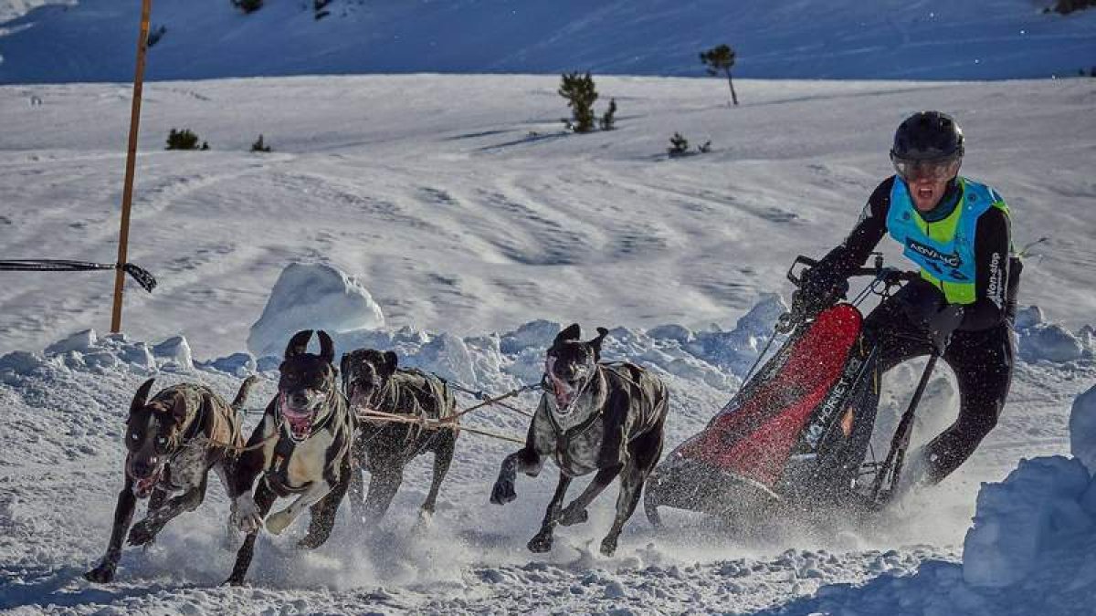 El mushing le reportó a la Federación de Castilla y León ocho medallas en enero. FDICYL
