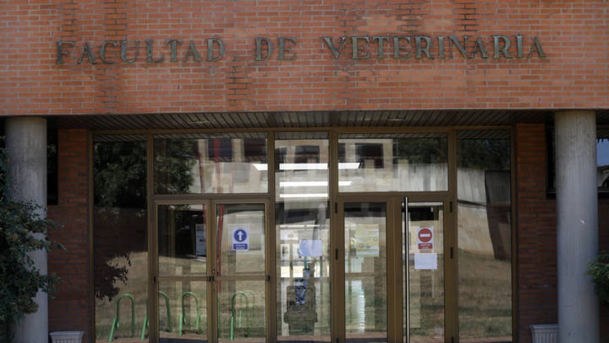 Imagen de la facultad de Veterinaria de León. MARCIANO PÉREZ