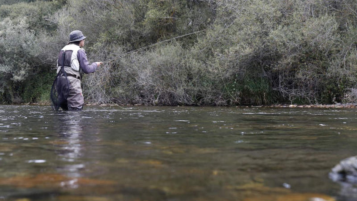 Un pescador en uno de los muchos ríos existentes a lo largo y ancho de la provincia. FERNANDO OTERO