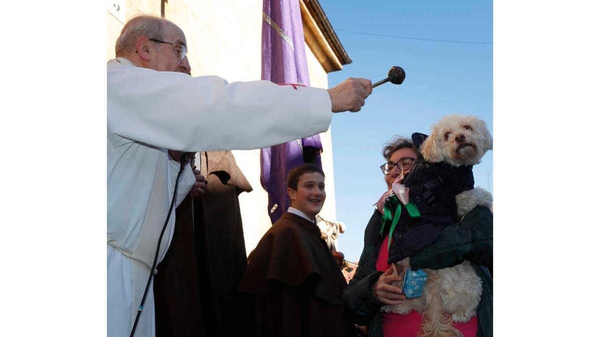 Tradicional bendición de San Antón en San Marcelo el año pasado. JESÚS F. SALVADORES