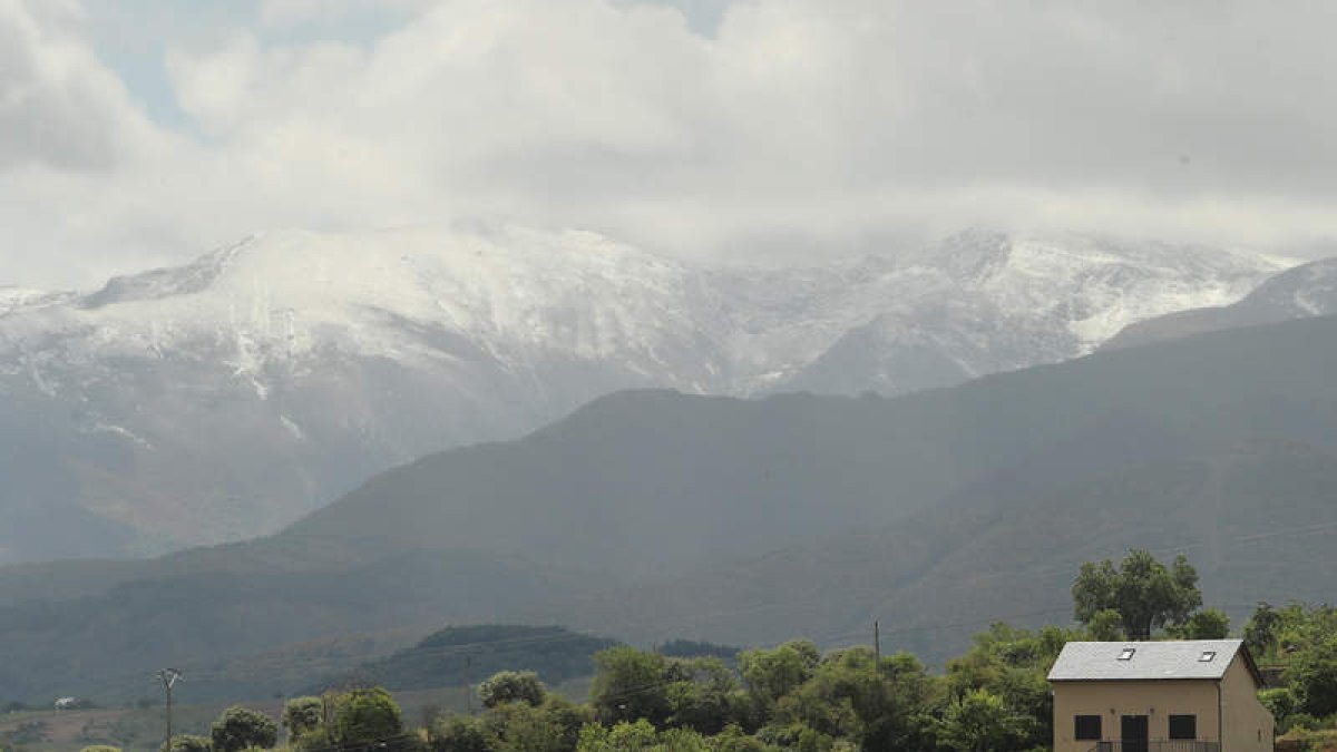 l. de la mata