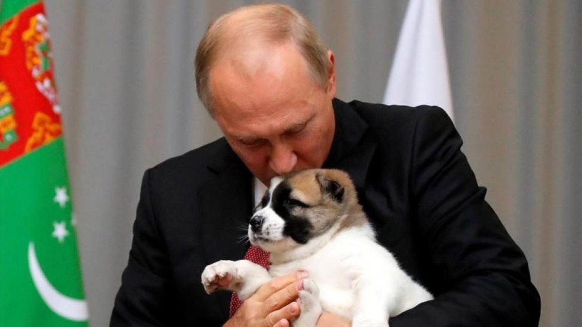 El presidente ruso Vladimir Putin besa un perro pastor de Asia Central.