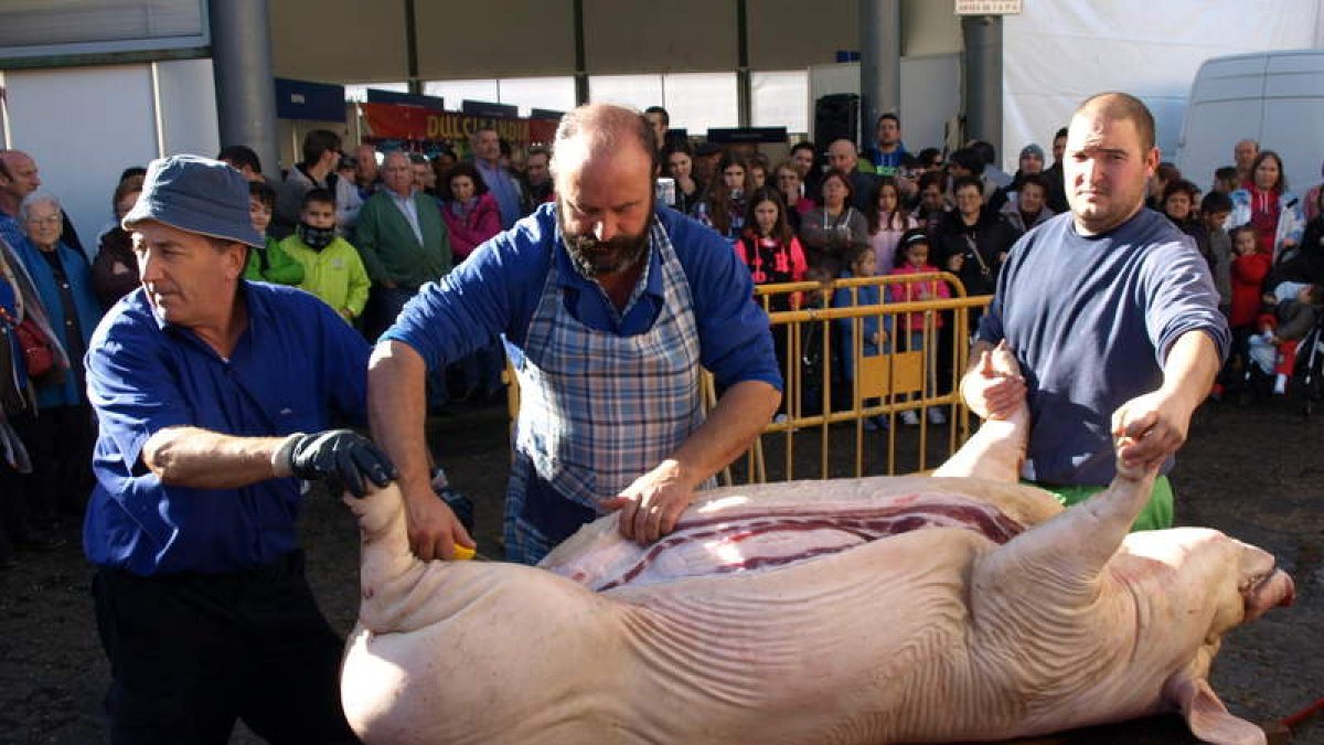 Las jornadas de la matanza y la Feria de Santa Catalina comienzan mañana a las 10.30 horas. CAMPOS