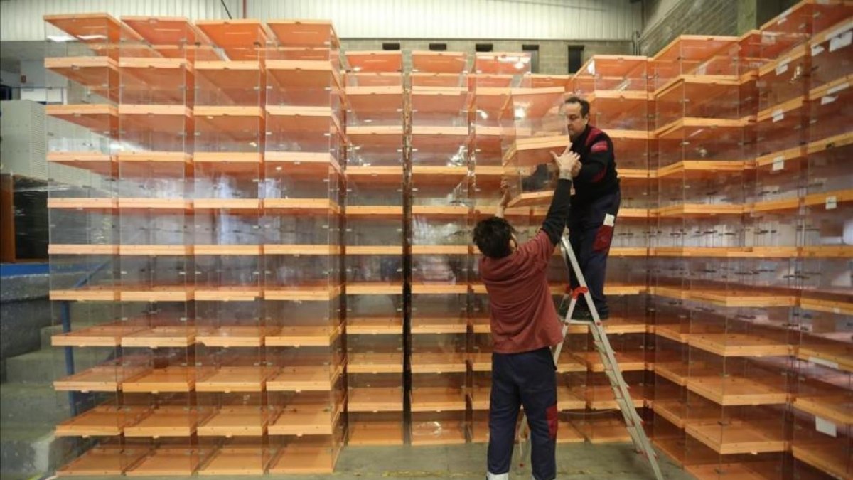 Unos operarios recogían urnas del almacén del Ayuntamiento de Barcelona para llevarlos a los colegios electorales antes del 20-D.