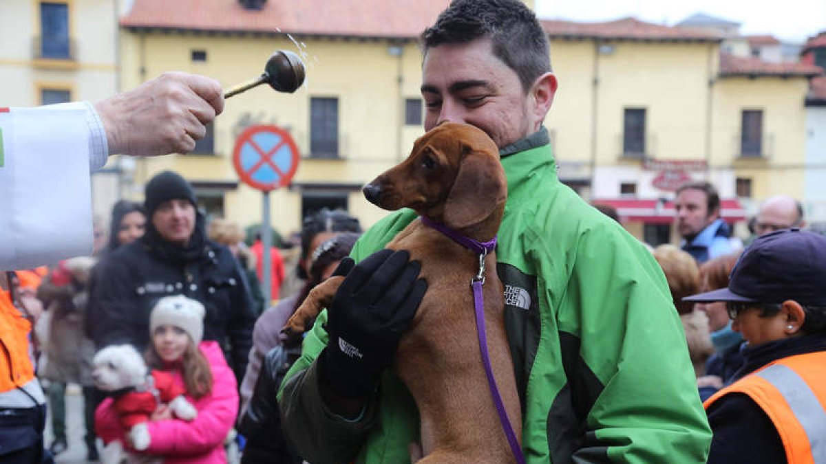 Los perros son siempre los más fieles a la bendición; también hubo algún gato
