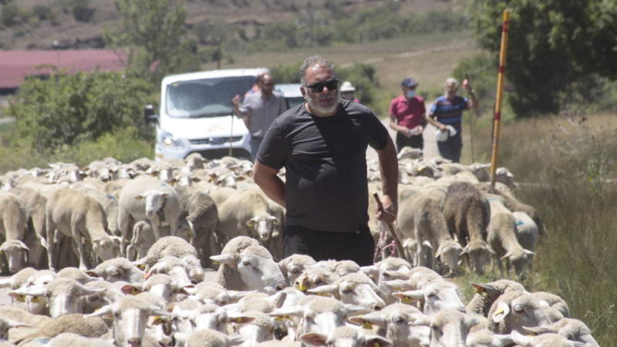 Un millar de reses llegadas de Extremadura hicieron su entrada en la feria de la trashumancia de Prioro. CAMPOS