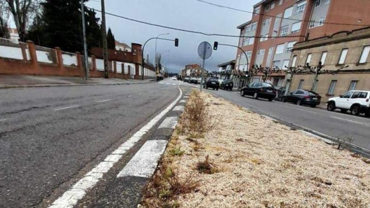 La maleza aflora en varias aceras de la localidad. DL