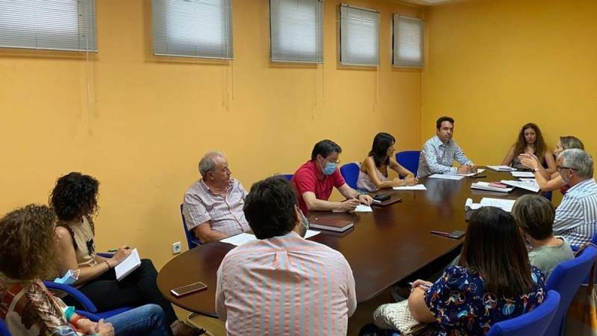 Imagen facilitada por la Junta de la reunión del Consejo de Salud. DL