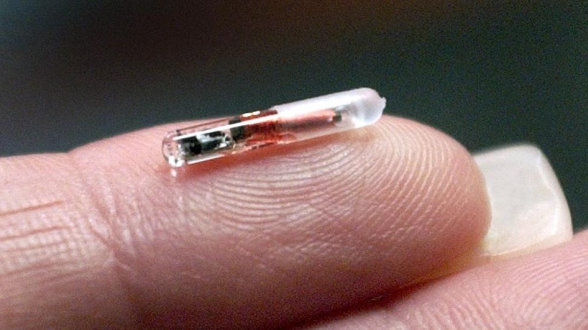 Se calcula que los datos han sido robados de los dispositivos del 10% de los titulares de mascotas con microchip. DL