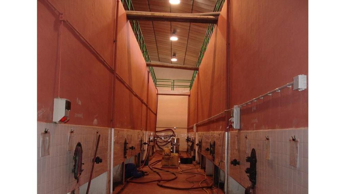Aspecto interior de la cooperativa, ubicada en pleno casco urbano de Valderas. La sociedad mantiene en magnífico estado sus instalaciones.