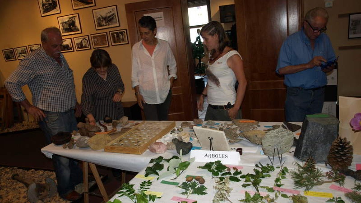 Exposición de plantas y restos de animales.