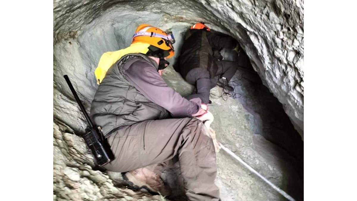 El equipo de la Junta busca en la cueva el rastro de la osa herida. DL