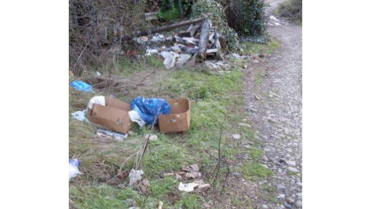 Basura acumulada a los márgenes del río Sil.