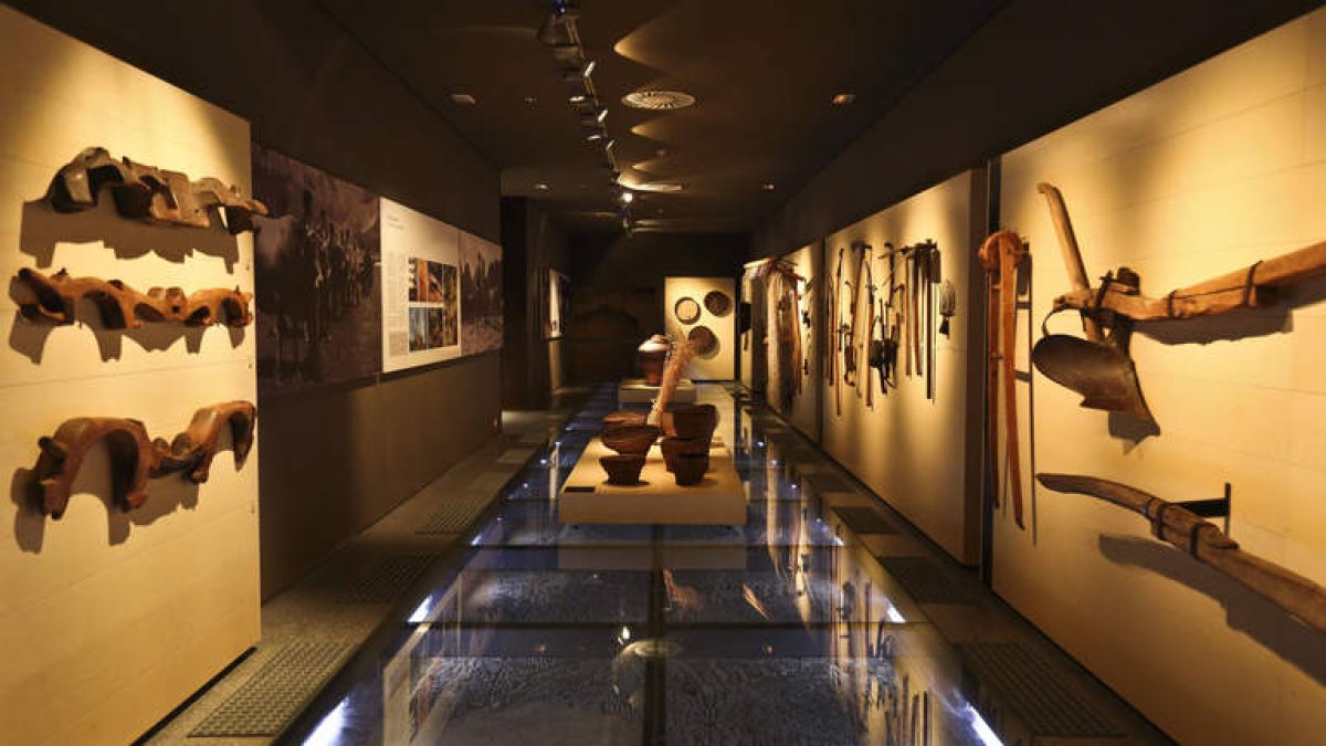 Desde que en 2008 se abriera la colección en Mansilla de las Mulas, el Museo se ha convertido en la gran memoria de la provincia. S.C.