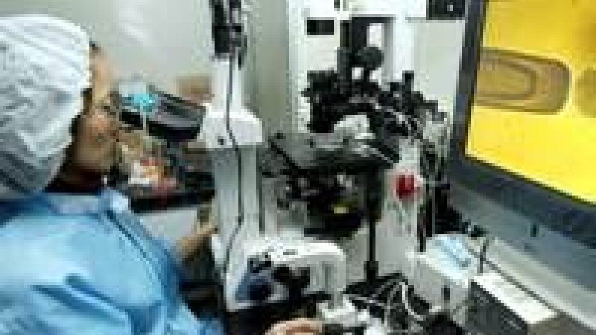 La investigación con ratones demuestra que se pueden generar órganos también con células ya adultas