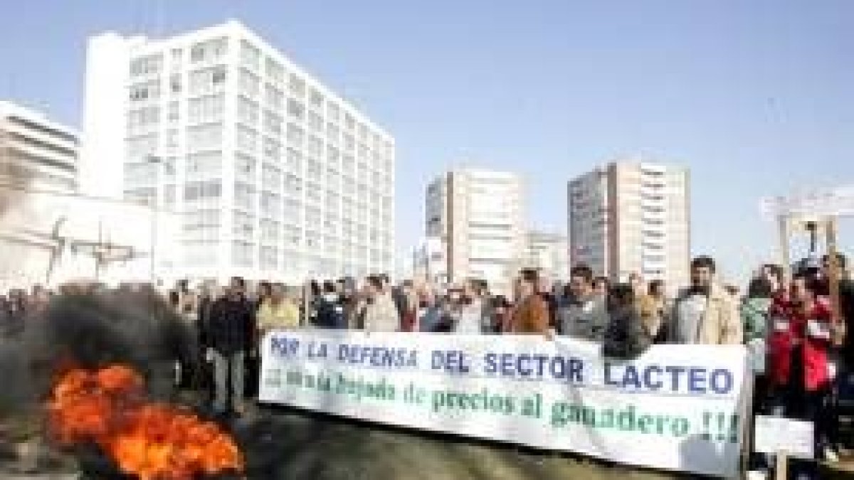 Medio millar de ganaderos se concentraron ante la sede de la Delegación del Gobierno