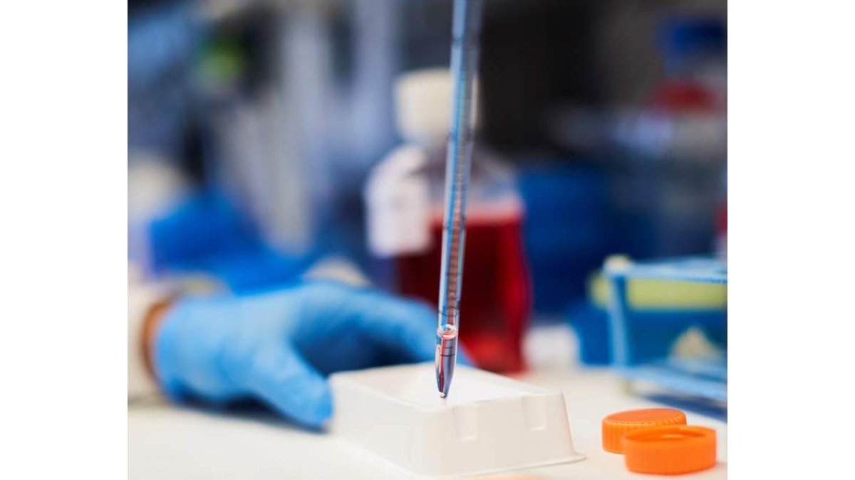 Un laboratorio con el material para investigar el cáncer. ALEJANDRO GARCÍA