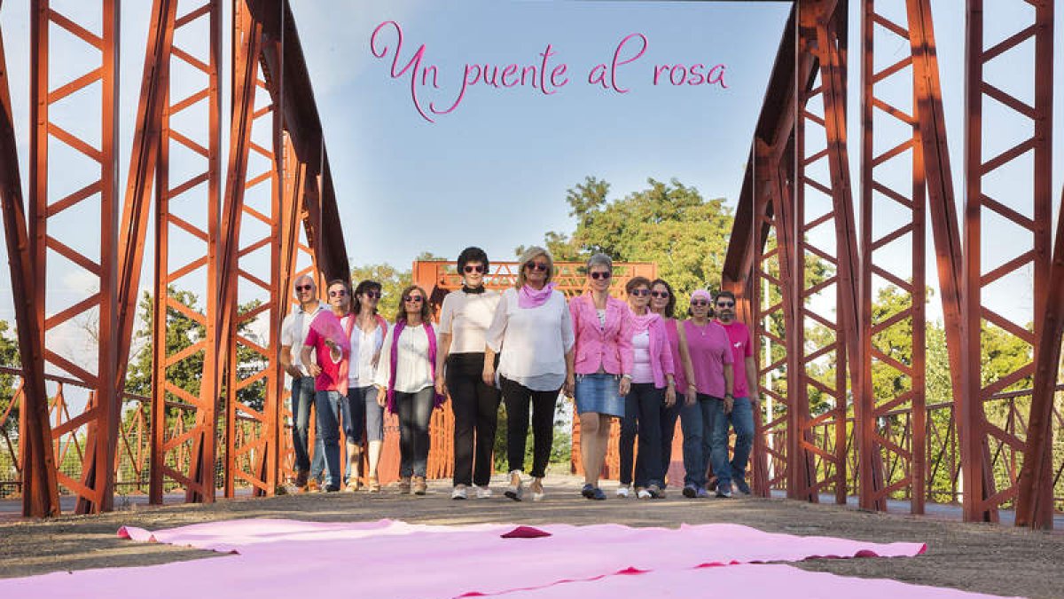 junta local de la bañeza de la aecc
