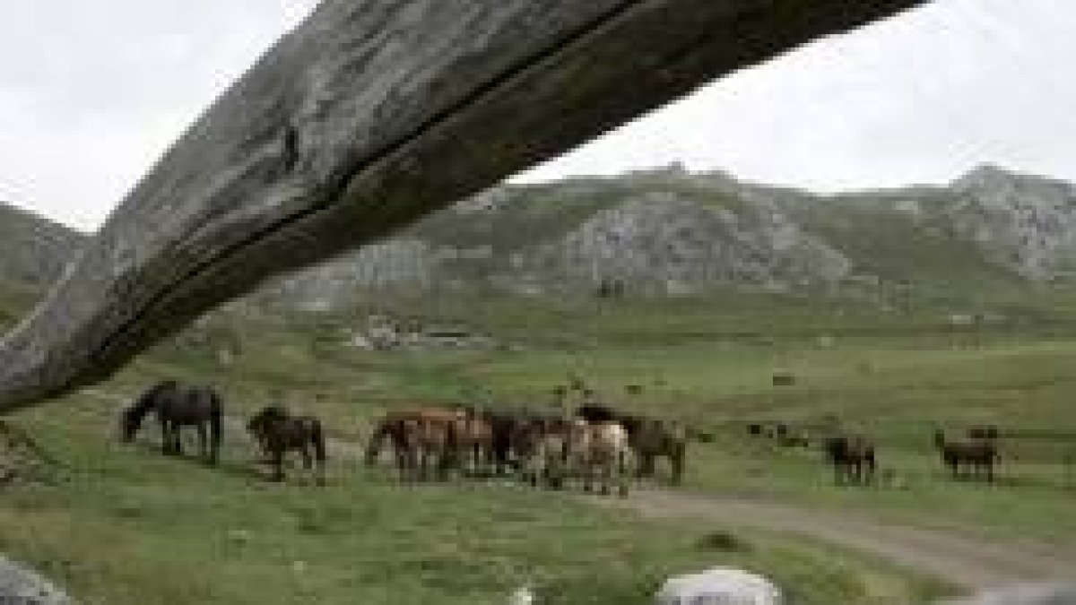 El pleito por las nuevas normas de uso que se proyectan para el Puerto de Pinos se mantiene abierto