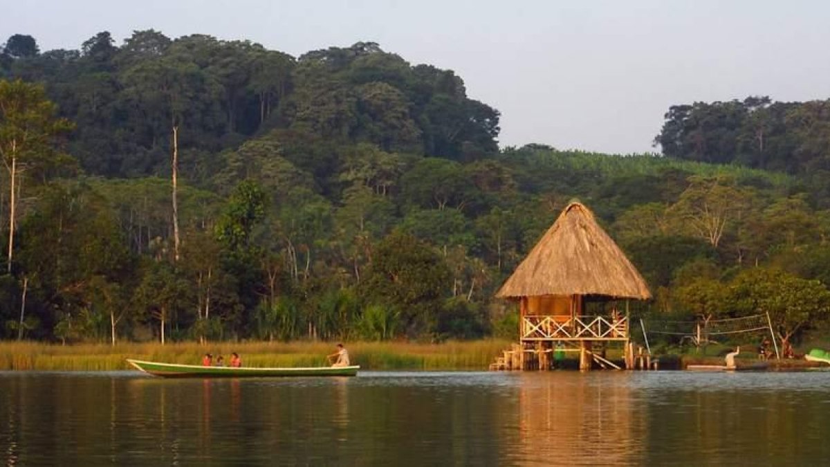 Imagen típica de la Amazonía peruana, donde la naturaleza se muestra exuberante.