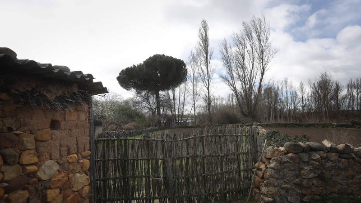 En la actualidad el Museo Etnográfico de Lorenzana cuenta con varias salas en las que se presentan distintos aspectos de la vida cotidiana y de los oficios tradicionales a través de las piezas de la colección etnográfica. Cada pieza está individualizada y
