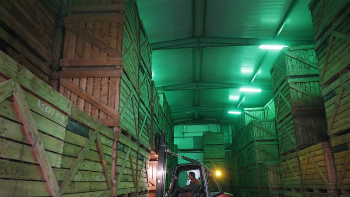 Un almacén de patatas en la localidad de Riego de la Vega.