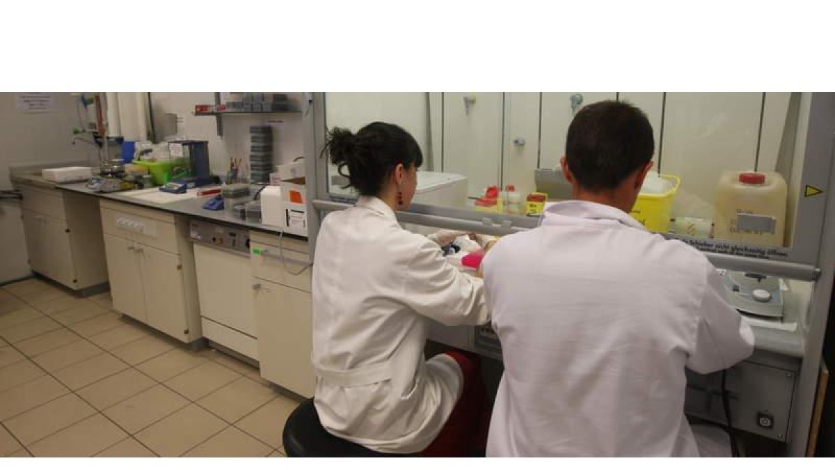 La ULE posee dos institutos de investigación, en Biomedicina y Humanismo y Tradición.
