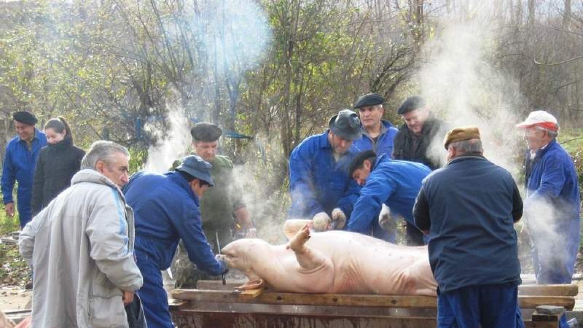Un grupo nutrido de vecinos se sumó a la tarea de matanza.