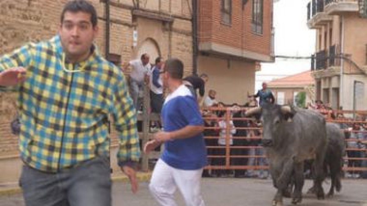 Imagen del primer encierro celebrado ayer en las Fiestas de Sahagún.