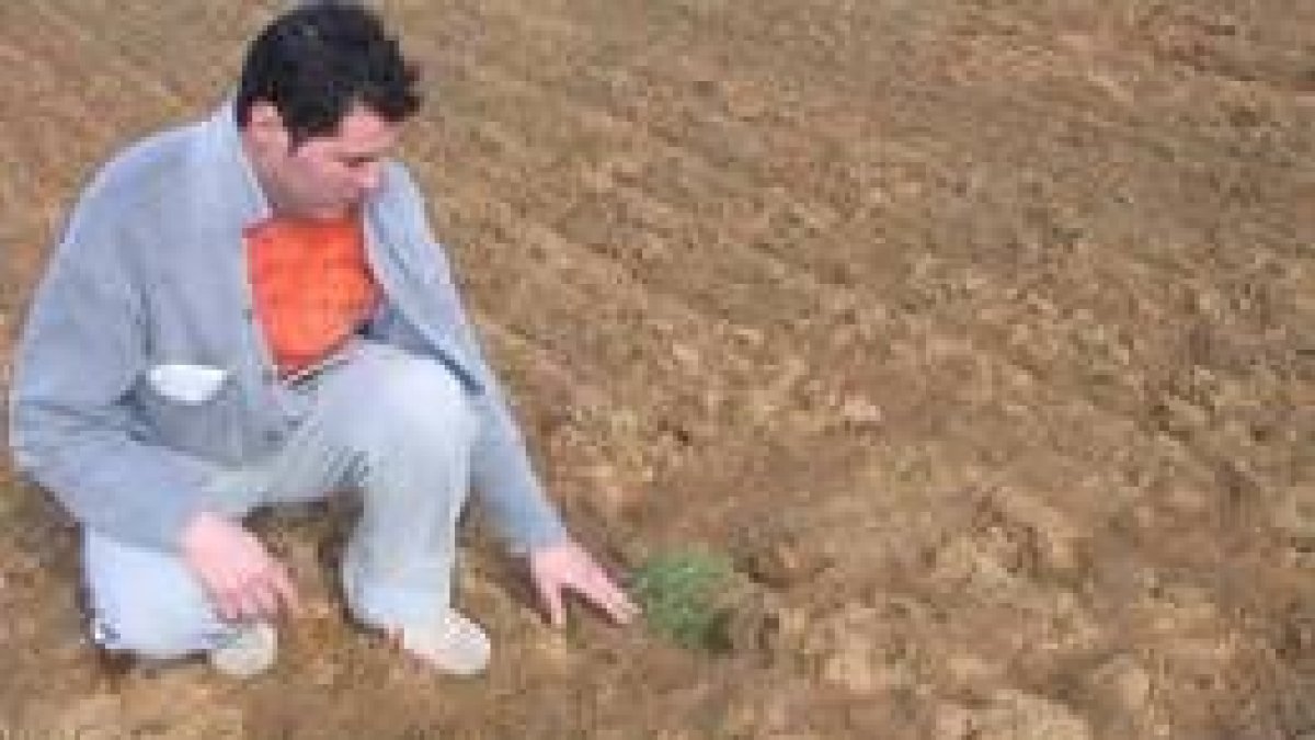Parcela de Escobar devorada por los ratones, con alimento a la entrada de una cueva