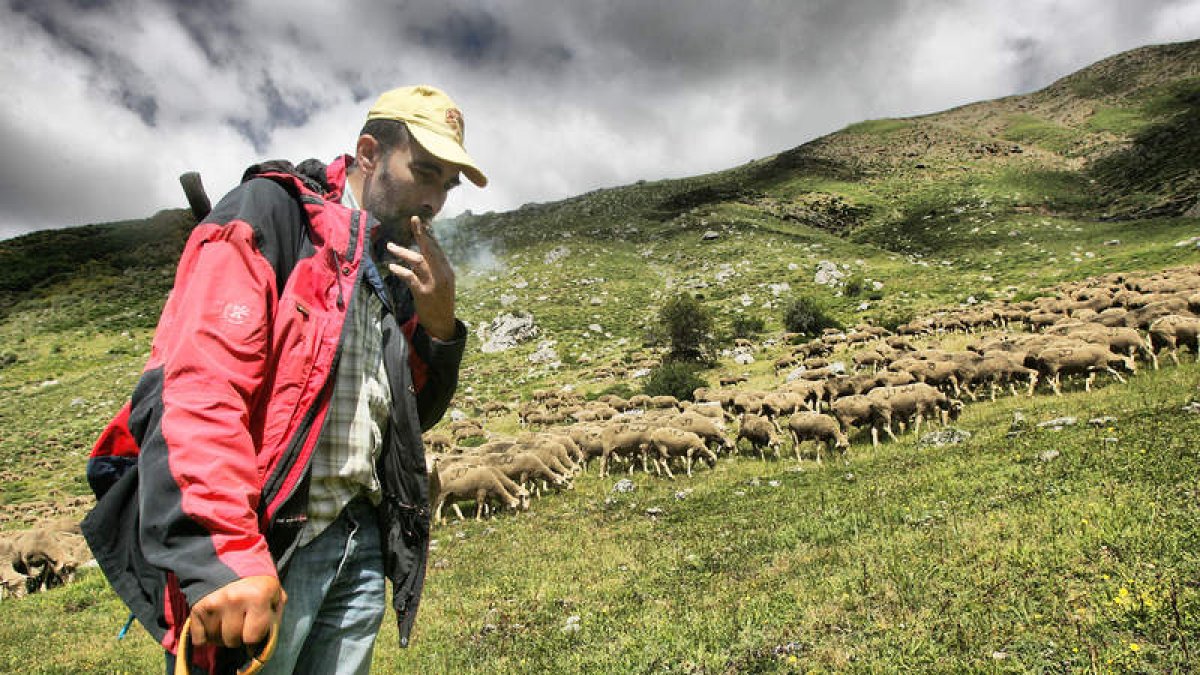 José Antonio Velasco (Puebla de Lillo) pastor desde los 16 años. En invierno le pinta bien en Extremadura; en verano, en Babia