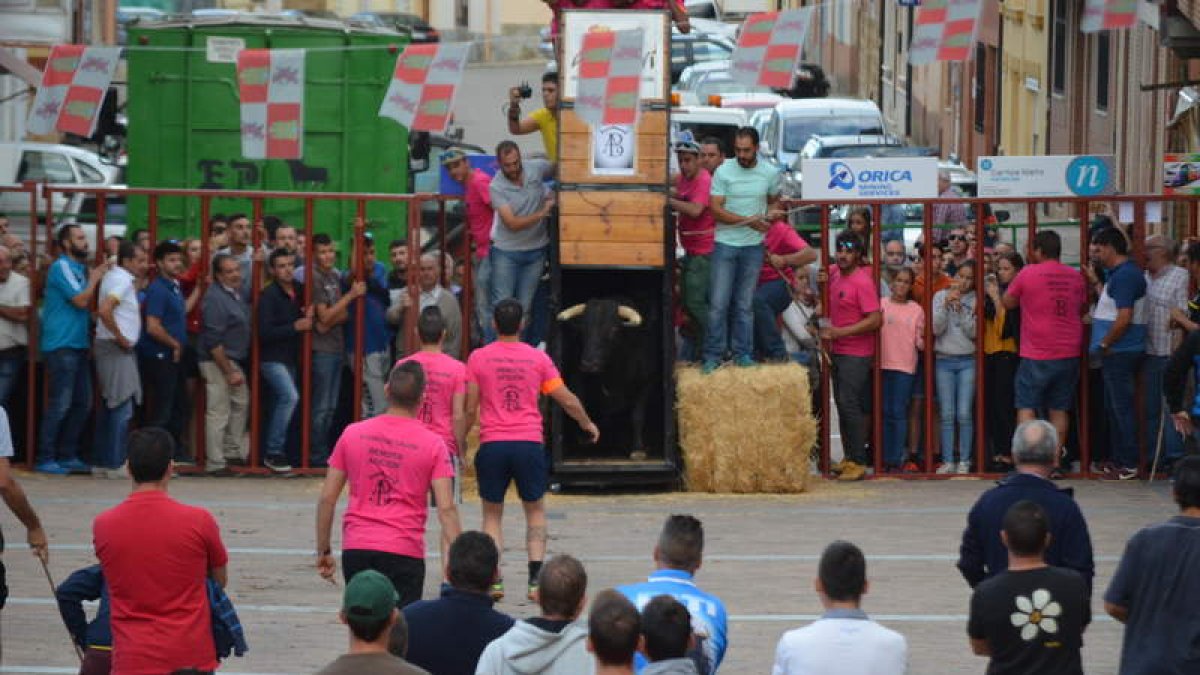 Imagen de la salida del toro del cajón ayer en Valderas. MEDINA