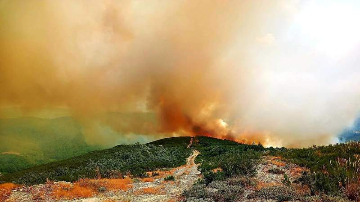 DL18P13F6-19-59-46-4