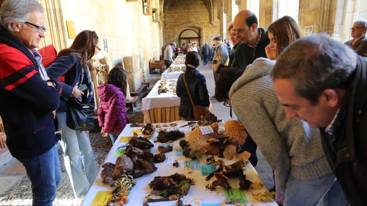 El claustro de San Marcos acogió la muestra